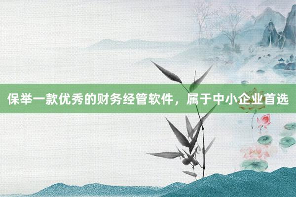 保举一款优秀的财务经管软件，属于中小企业首选