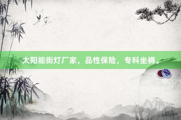 太阳能街灯厂家，品性保险，专科坐褥。