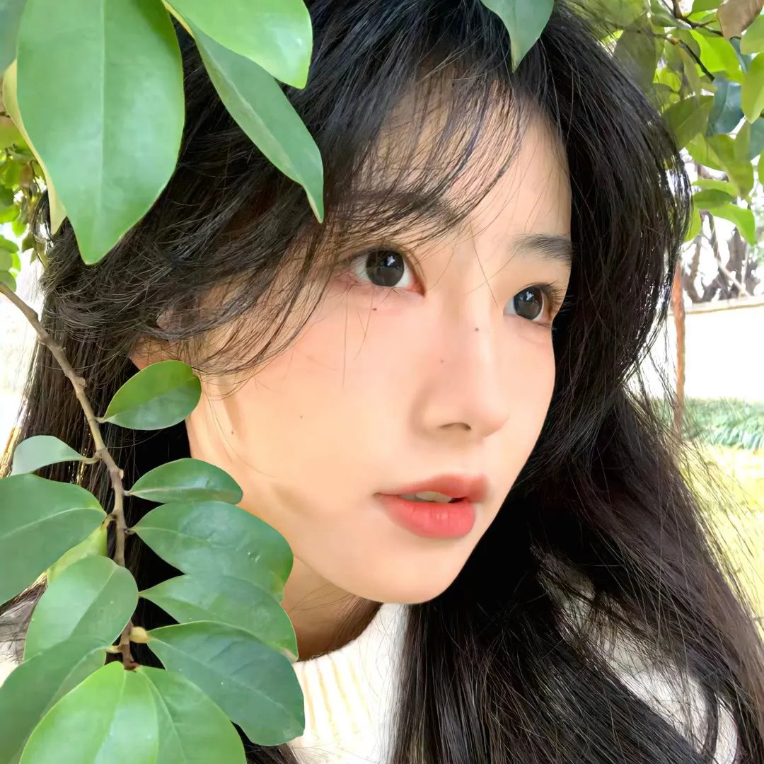 狼族之中